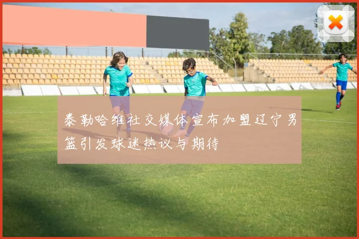 泰勒哈维社交媒体宣布加盟辽宁男篮引发球迷热议与期待