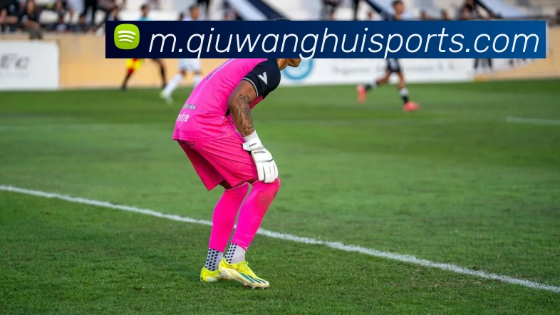 球王会服务体系